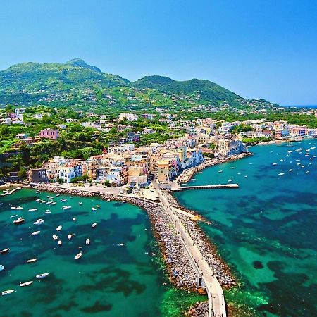 Villa To Ischia With Love Eksteriør billede