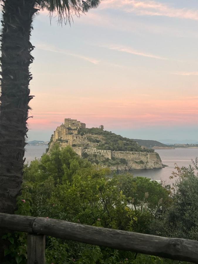 Villa To Ischia With Love Eksteriør billede